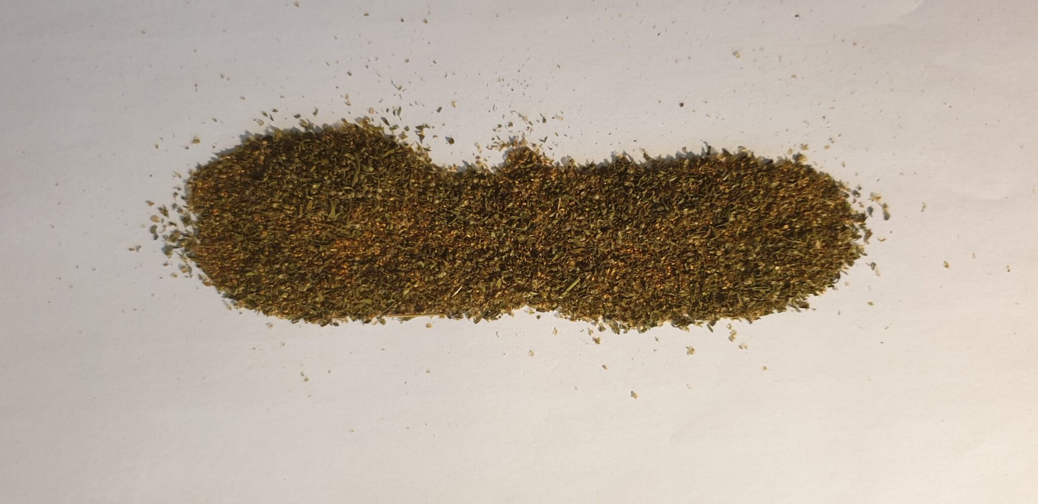 Artemisia Annua Samen - 100 Stück Bio-Saatgut Für Balkon & Garten