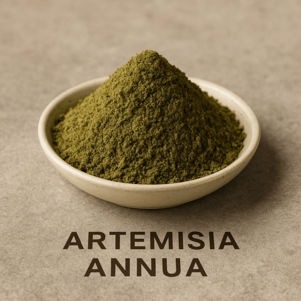 Artemisia Annua Pulver