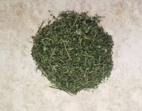 Artemisia Annua Tee Rohstoff