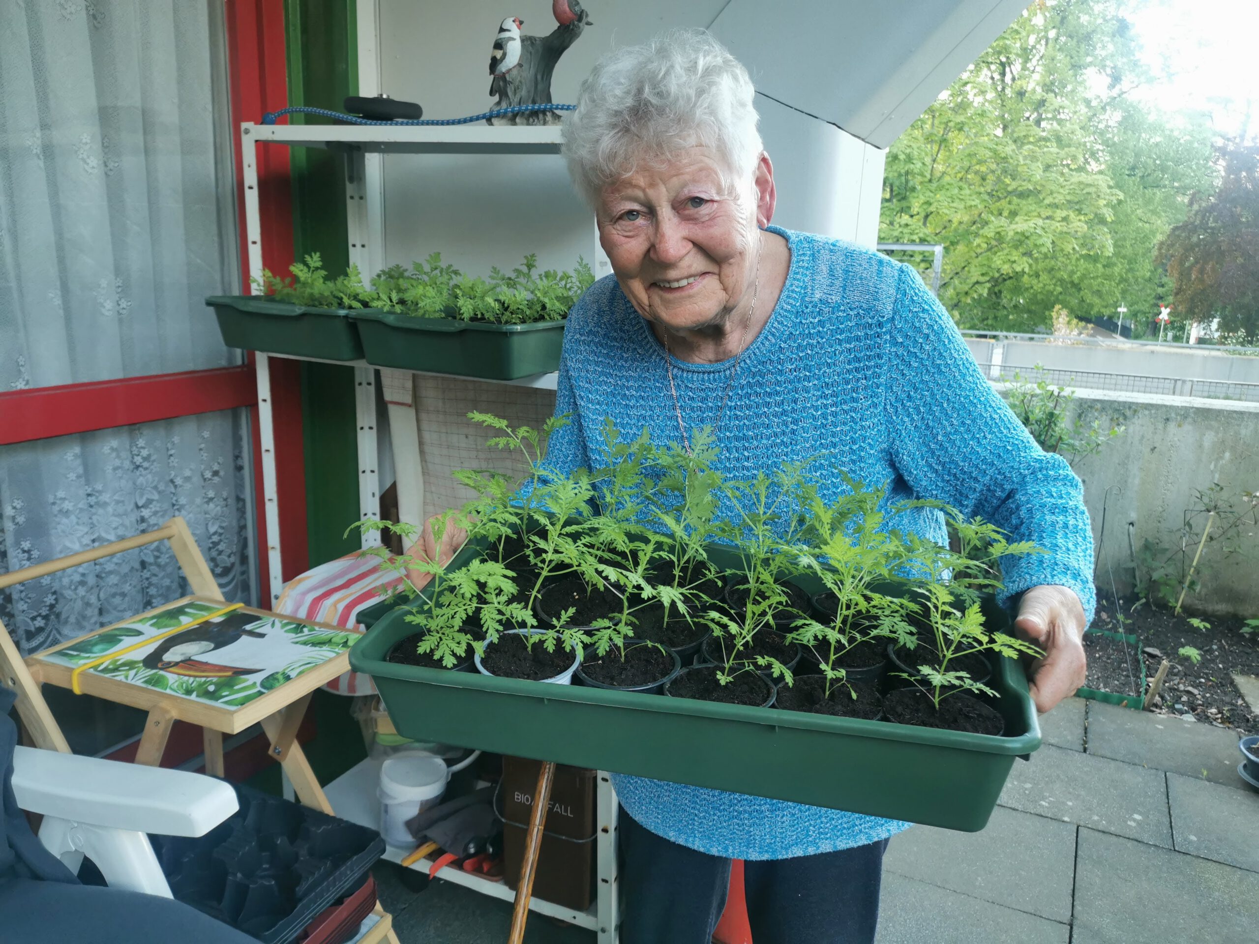 Artemisiafrau Hannelore Klabes